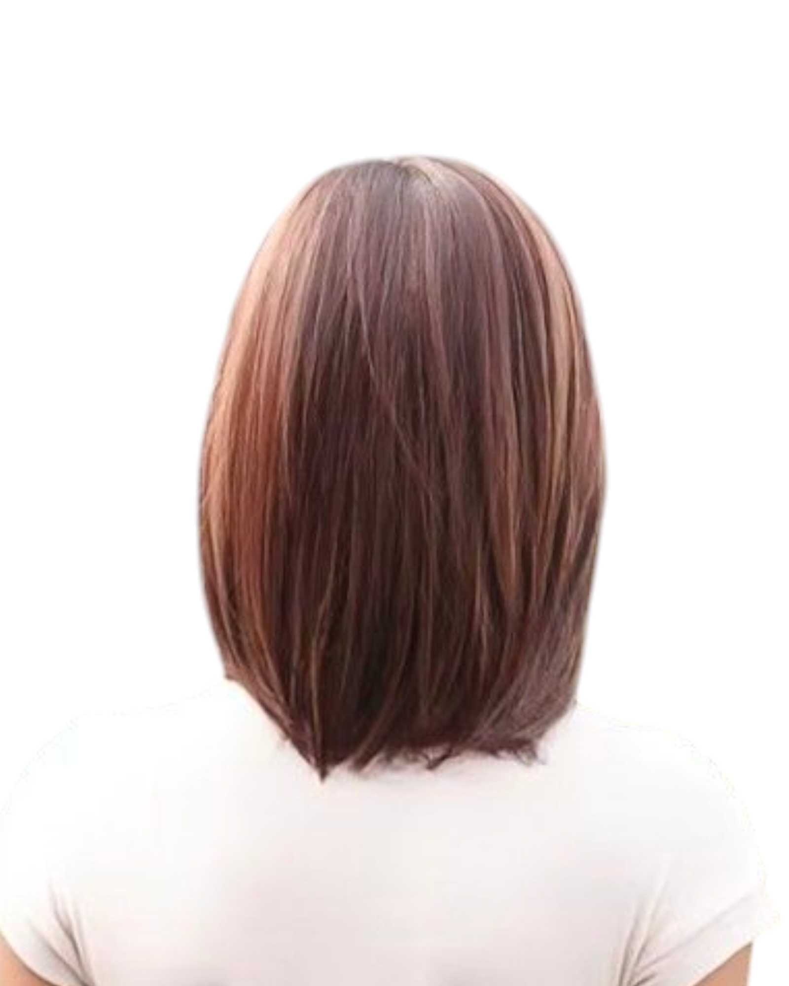 Auburn Brown Lace Front Bob Wig. Chase.