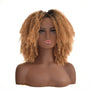 Caramel Spiral Curls Lace Front Wig. Fleur